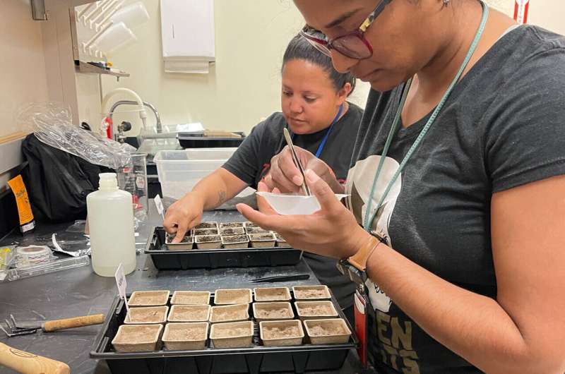 Hands taking plant sample