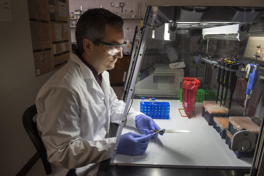 Scientist analyzing lab data